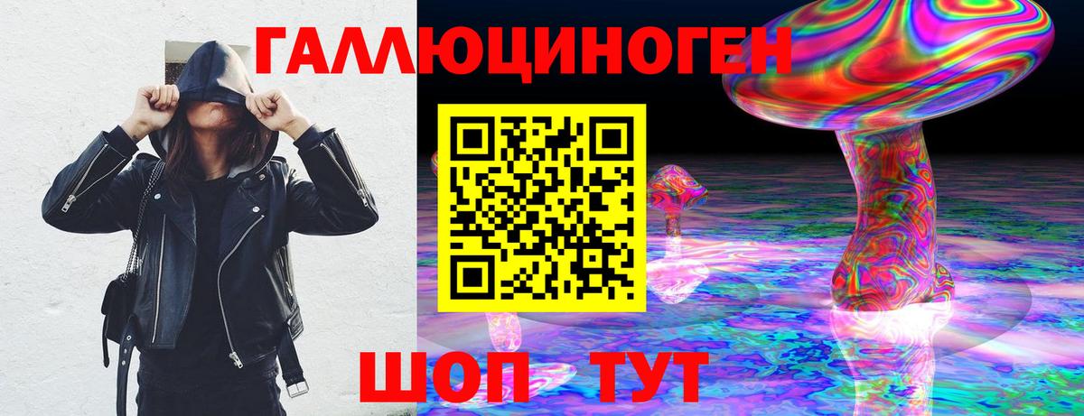 Псилоцибиновые грибы Cubensis Славянск-на-Кубани