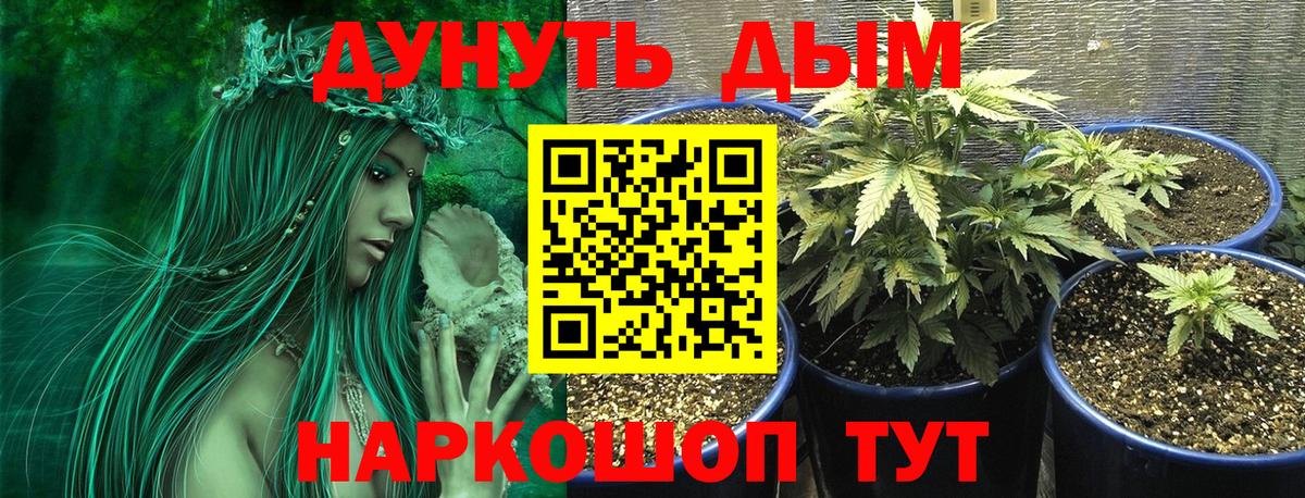 Славянск-на-Кубани  Бошки марихуана VHQ  Вход с VPN  Конопля OG Kush  МАРИХУАНА Bruce Banner  Бошки Шишки план 